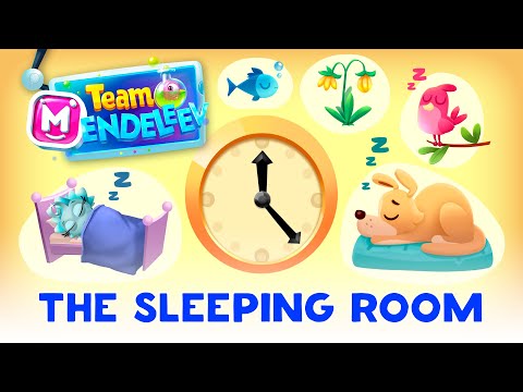 Team Mendeleev 😴  The Sleeping room 😴  Episode 10 | Educational cartoons For Kids