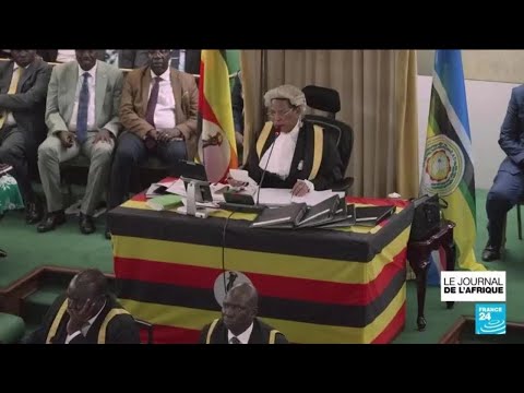 Le parlement ougandais amende à la marge une loi anti-LGBT+ controversée • FRANCE 24