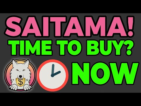 THE TIME TO BUY SAITAMA INU IS NOW! HERE IS WHY...
