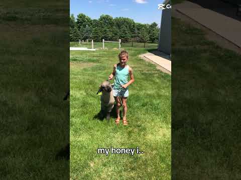 Um thank you ai lol it’s lowkey kinda good tho