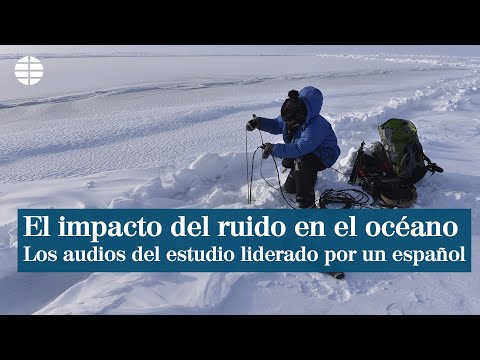 El impacto del ruido en el océano: una investigación liderada por el español Carlos Duarte