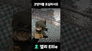 붉은사막 양아치 고양이