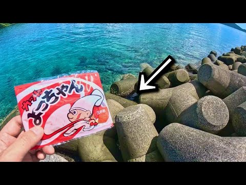 このテトラの穴に「よっちゃんイカ」を落とすと？