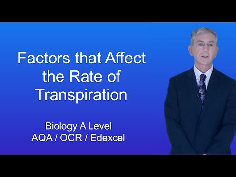 A Level Biology Revision “Factors that Affect the Rate of Transpiration”