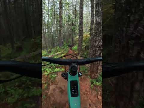 The first turns on the Forbidden Druid CORE!  #mtb #emtb