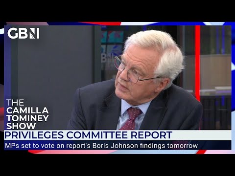 David Davis: ‘We need Rishi more now than ever because of all this turbulence’