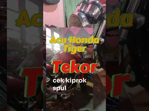 Pengisian Honda Tiger Tekor #kiproktiger #kiproknmax #hondatiger #tiger #nmax #herexjatim