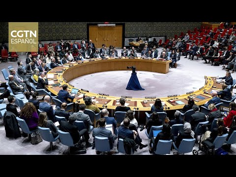 Consejo de Seguridad de la ONU rechaza resolución de Rusia que proponía un alto el fuego humanitario