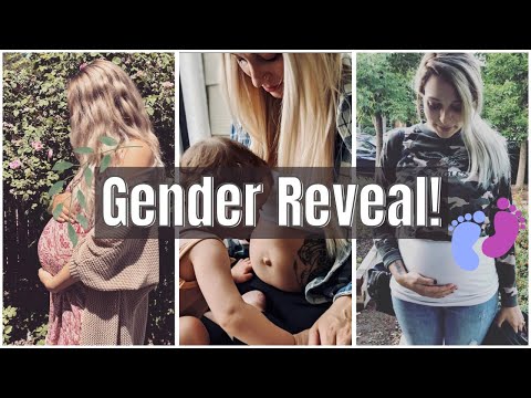 Gender Reveal | Baby #3 is a….
