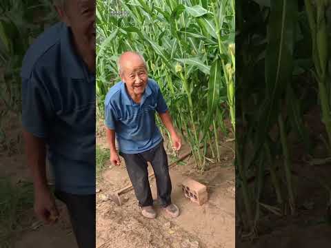 The old guy <strong>is</strong> drinking right <strong>there</strong> in the field