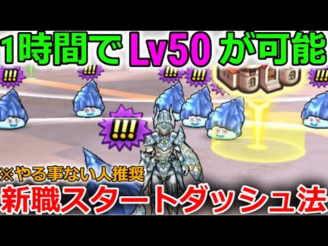 【ドラクエウォーク】１時間でLv50に！新職スタートダッシュ法！やる事ない人はあのアイテムを２個集めるべし