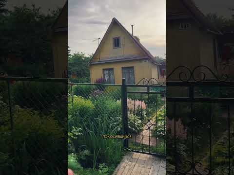 Тг канал: творческая изба