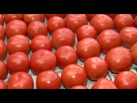 Huevos y tomates bajaron de precio esta semana