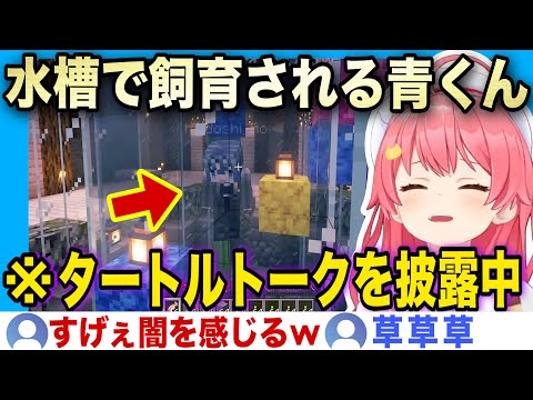 水槽で飼育され解像度の高いタートル・トークを披露させられる青くんw【ホロライブ/さくらみこ/火威青/切り抜き】