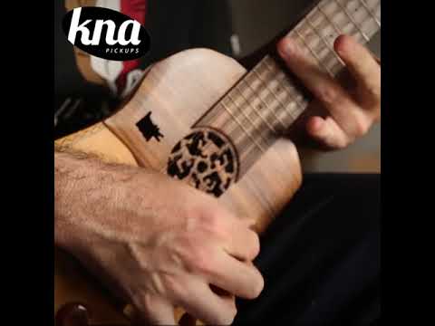 KNA UK-1 universal portable pickup for acoustic instruments - demo on Ronroco by Patricio #Shorts