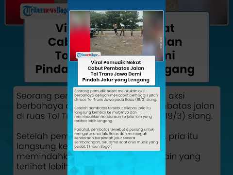VIRAL PEMUDIK NEKAT Cabut Pembatas Jalan Tol Trans Jawa untuk Pindah Jalur yang Lebih Lengang