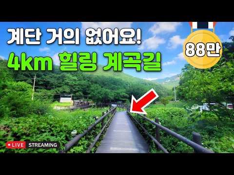 [라이브소통] 🚅 기차비 2,600원! 계단 거의 없어 걷기 편한 4km 계곡길 코스 진짜 시원해요 👍 l 대중교통 당일치기 여행