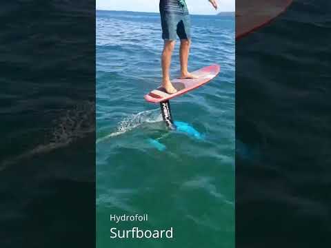 น่าสนุกนะครับ Hydrofoil surfboard