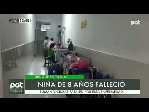 Una niña es la cuarta víctima de dengue en Tarija