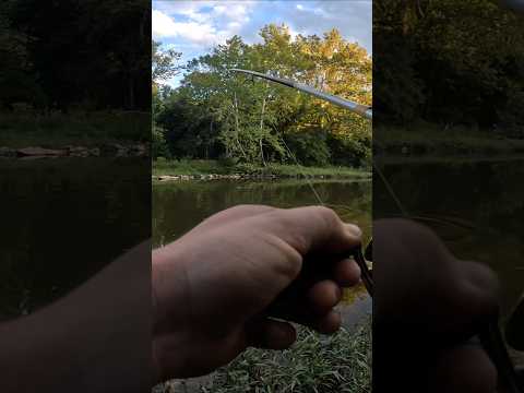 Catching My PB Smallmouth #fishing #bassfishing #hookem