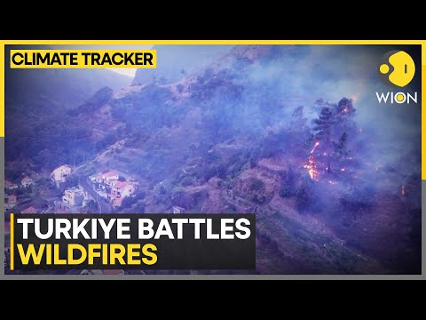 Turkiye battles Wildfires: Planes, helicopters deployed to douse blaze | WION Climate Tracker