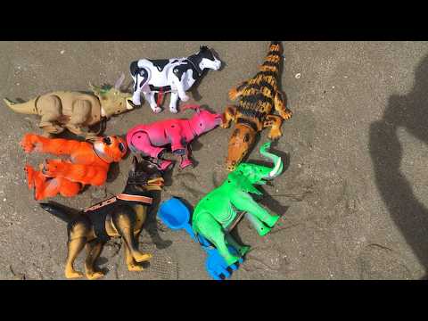 วัว ควาย สุนัข ไดโนเสาร์ จระเข้ มาเยือนทะเลบางแสน กระโดดน้ำเล่น cow buffalo dog dinosaur at sea