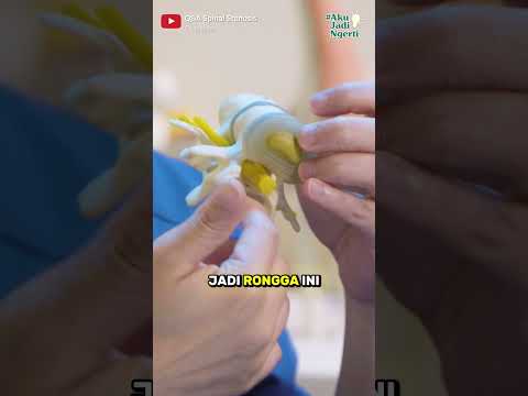 PERBEDAAN HNP VS SPINAL STENOSIS