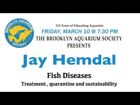 Jay Hemdel - Fish Diseases, Treatment,  Quarantine Jay Hemdal will discuss the ailments that affect our finned friends.   Jay has kept aquarium fish si