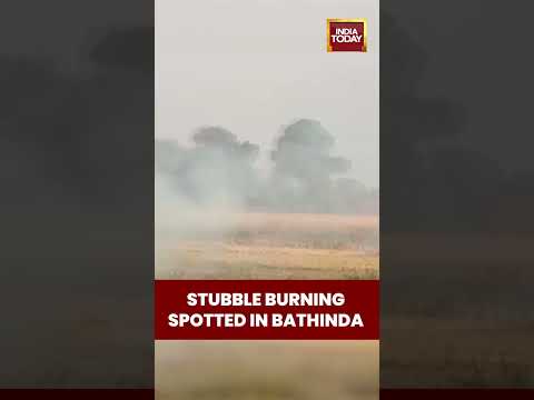 Stubble Burning Spotted in Bathinda, Punjab