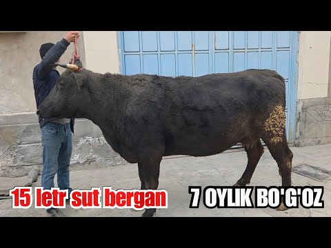 NARXI 40 mln KELISHAMIZ ☎️ 940853002 ⬅️ ТЕЛЕГРАМ 