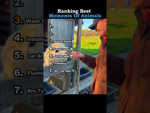 TOP 5 MOMENTOS INESPERADOS (Parodia En Español) RANKINGS EN ESPAÑOL #shorts #humor