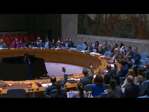 UN Security Council approves new anti-gang force for Haiti | AFP