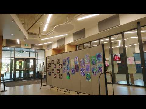 Enhancing Learning Environments: Primacoustic Installation at Urban Academy