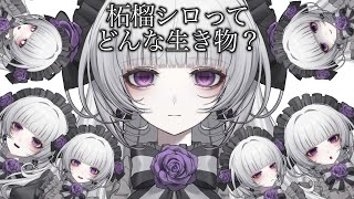 【緊急】柘榴シロってどんな生き物？柘榴シロをもっと知れる配信！【柘榴シロ】