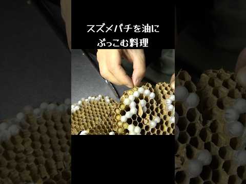 スズメバチを油にぶっこむ料理。 #アウトドア #料理　#キャンプ