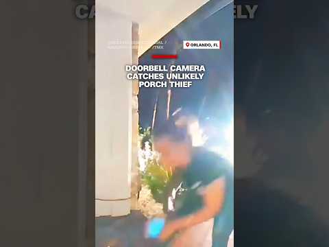 Doorbell camera catches unlikely porch thief