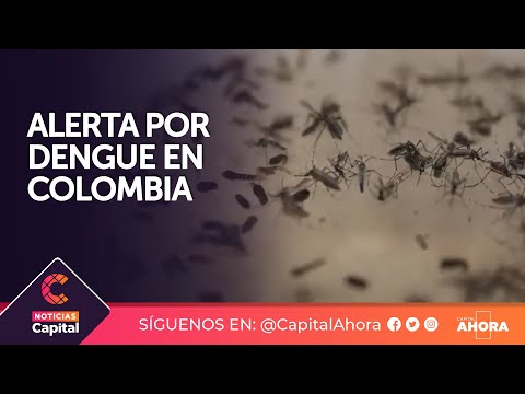 Crece la alerta por Dengue en Colombia: hay preocupación del aumento de casos durante Semana Santa