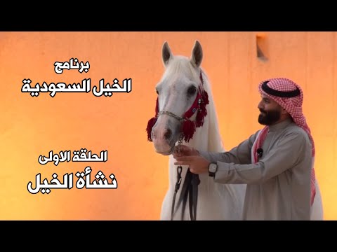 برنامج الخيل السعودية | الحلقة الاولى | نشأة الخيل | اعداد واخراج حمد اللاحم