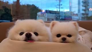 動画サムネイル