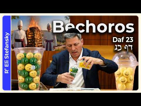 Daf Yomi Bechoros Daf 23 by R' Eli Stefansky