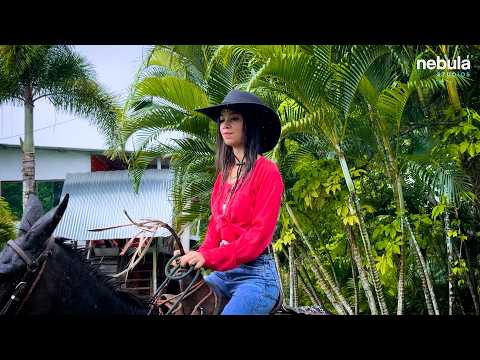 Arruinó la boda de esta chica, pero el final lo cambió todo