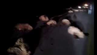 فيديو:شاحنة تدهس عدد كبير من الأغنام ليلاً على طريق طريف عرعر