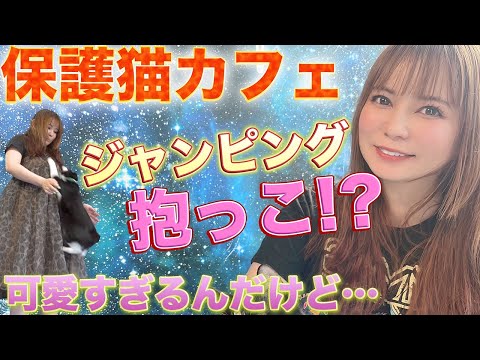 トレンド創作の動画サムネイル - 【尊すぎ】保護猫カフェで出会った猫の思わぬ特技に大興奮！
