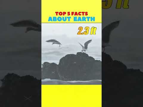 #AmazingWorld #WorldFacts #ExploreTheWorld #BeautifulPlanet #wondersofearth