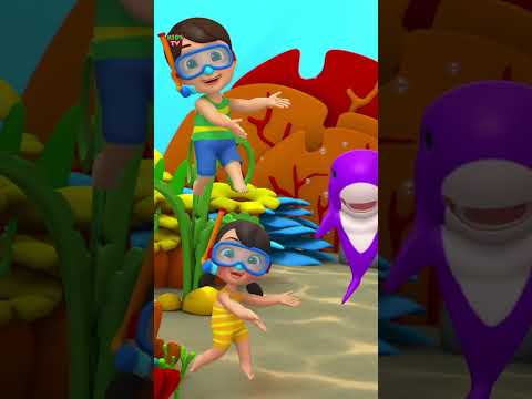 Babyhaj Børnerim #video #music #nurseryrhymes #cartoon #shorts #kids