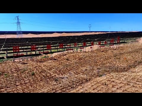 China's largest solar energy base helps make desert green