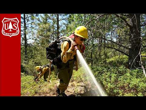 The Forest Service’s Wildfire Force