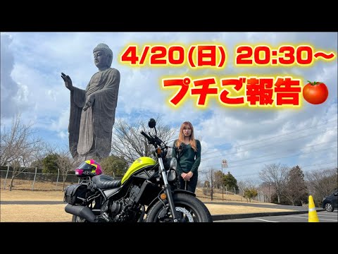 バイクに乗ってる女子大生 ゆうか がライブ配信中!