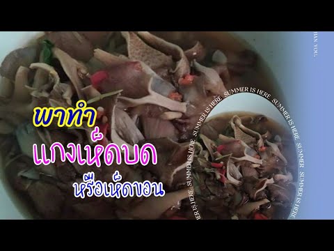 แกงเห็ดบด-หรือเห็ดขอน แกงเห็ดบด-หรือเห็ดขอน
