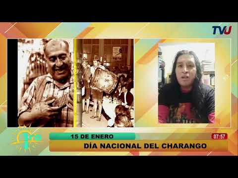 15 de enero, Día nacional del charango